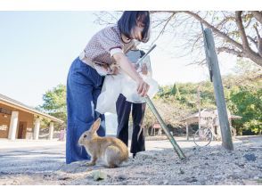 島の自然やうさぎの生態がわかる