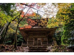 城崎温泉守護の寺「末代山温泉寺(本堂)」です。