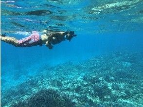 Snorkeling