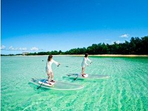 透明度抜群の海でクリアサップ