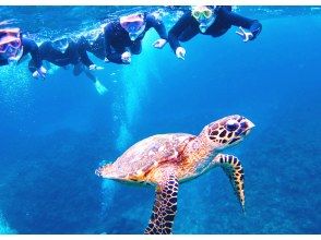 Snorkeling