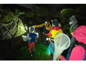 夜の森へ