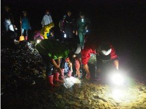 水辺で生きもの観察