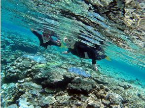 Snorkeling