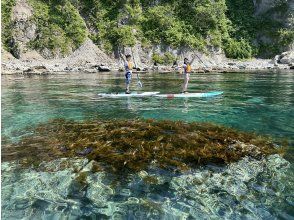 透明度抜群のポイントでゆったりSUPタイム♪