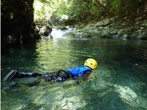 お魚いるかな？