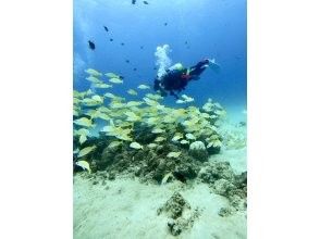 1本目ダイビングスタート！