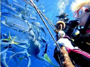 2本目ダイビングスタート！