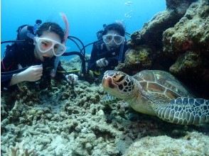 Afternoon snorkeling can be changed to diving.