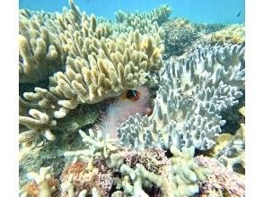 1本目ダイビングスタート！