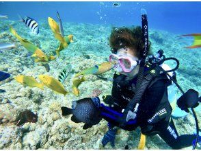 海中世界を満喫！