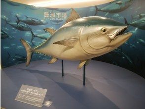7街区 水産卸売場棟 見学者ホール