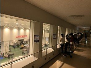 7街区 水産卸売場棟 マグロの卸売場