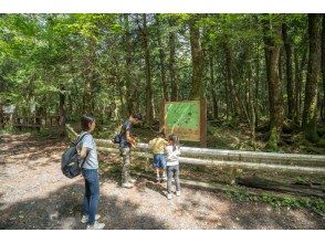 Arrive at the course entrance by private car