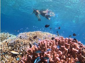 กิจกรรมแรกเริ่มแล้ว!