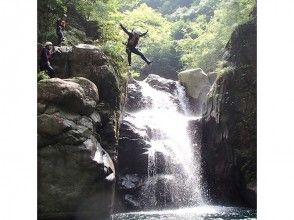 高〜い渋川大滝だよ