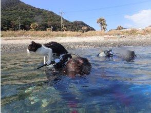 こんなサプライズも！？