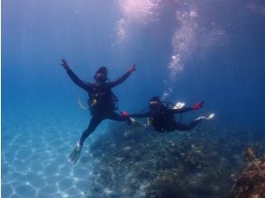 Look for turtles after a break! !!