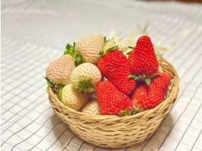 オンライン予約特典!お土産いちご
