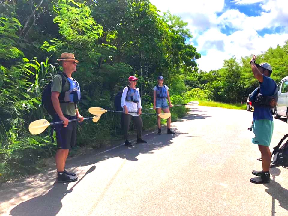 Okinawa Kayak Recommended Ranking Okinawa Islands Nature Iriomote Island Canoe Tour Windmill Mangrove