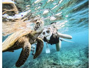 Snorkeling experience!