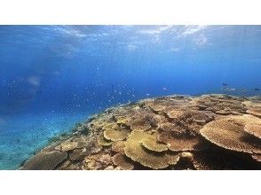 5. 在体验过程中