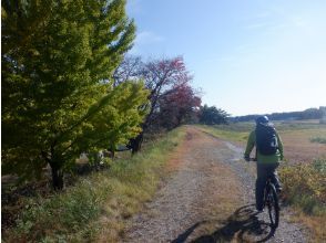 Get used to mountain biking