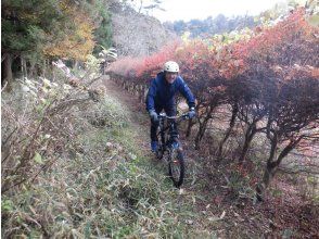 Single track (narrow dirt road)