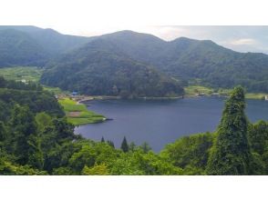 木の間越しの野尻湖