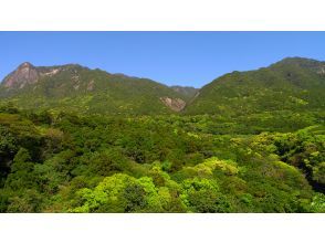 宮之浦港またはお客様宿泊ホテル　集合・出発