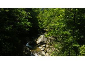 白谷雲水峡登山口スタート