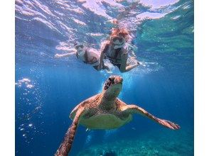 ウミガメ探し♪