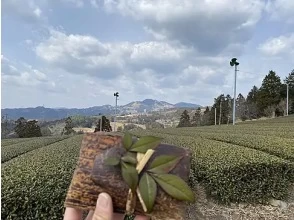 ランチ＆フリータイム