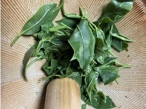 Making tea dumplings