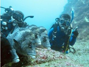 海洋実習１日目