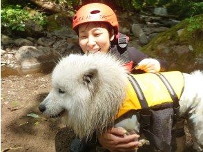 目標/運動/溶解