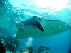 国立公園ケラマ諸島に到着です。