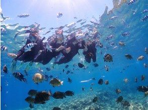 お魚の餌付け体験