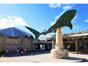 沖縄美ら海水族館