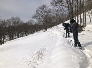 동물이 걸어온 흔적이!