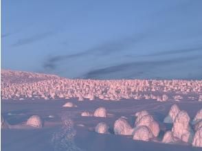 Madder-colored ice field