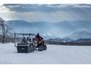 buggy cruise