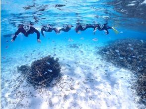 珊瑚礁シュノーケル開始