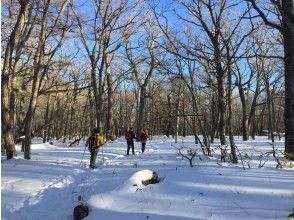 ここからは緩やかな登り