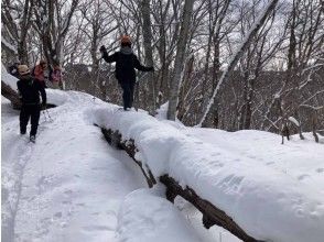 ウォーミングアップ一本橋