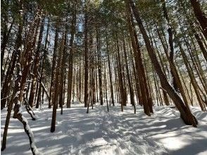 素敵な景色を楽しみながら登っていきます！