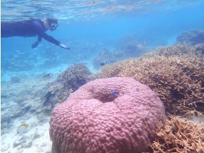 フィッシングタイム♪