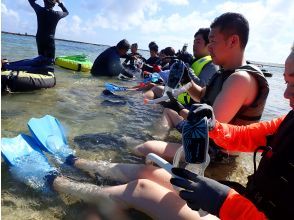 Snorkel explanation/experience