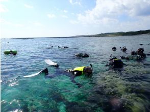 自然体験シュノーケリングSTART