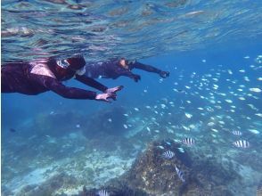 自然体験シュノーケリング体験中